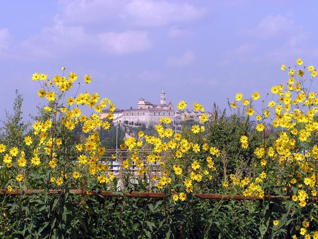 Il Poggiolo Delle Rose 2*