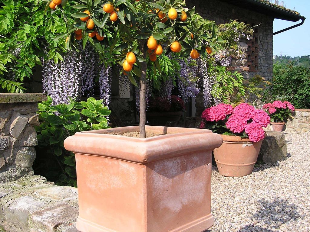 Il Poggiolo Delle Rose 2*