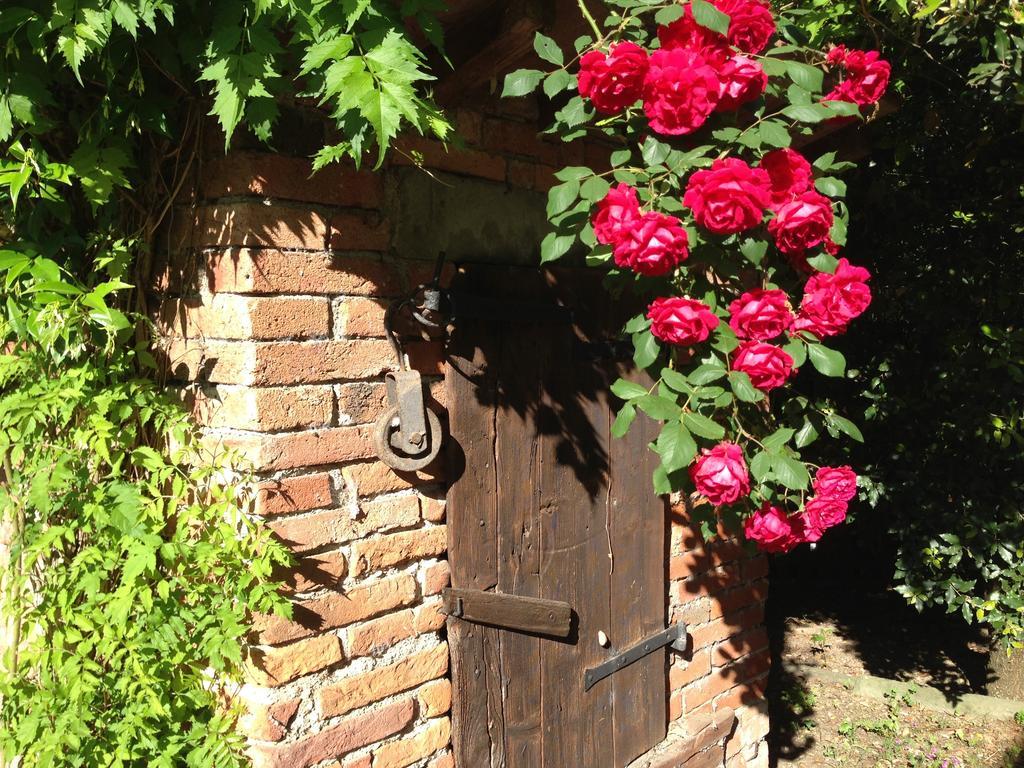 Il Poggiolo Delle Rose Bed & Breakfast